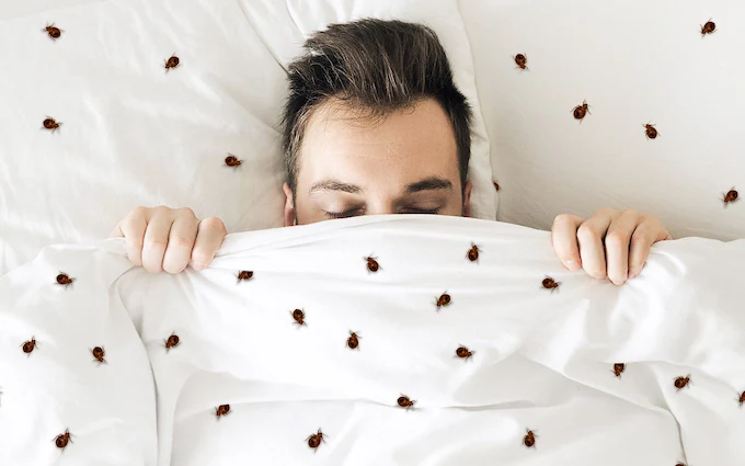 A person is in bed, covered up to the forehead with a white duvet that has many bed bugs on it.