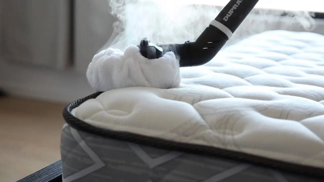 Heat Treatment for bed bugs