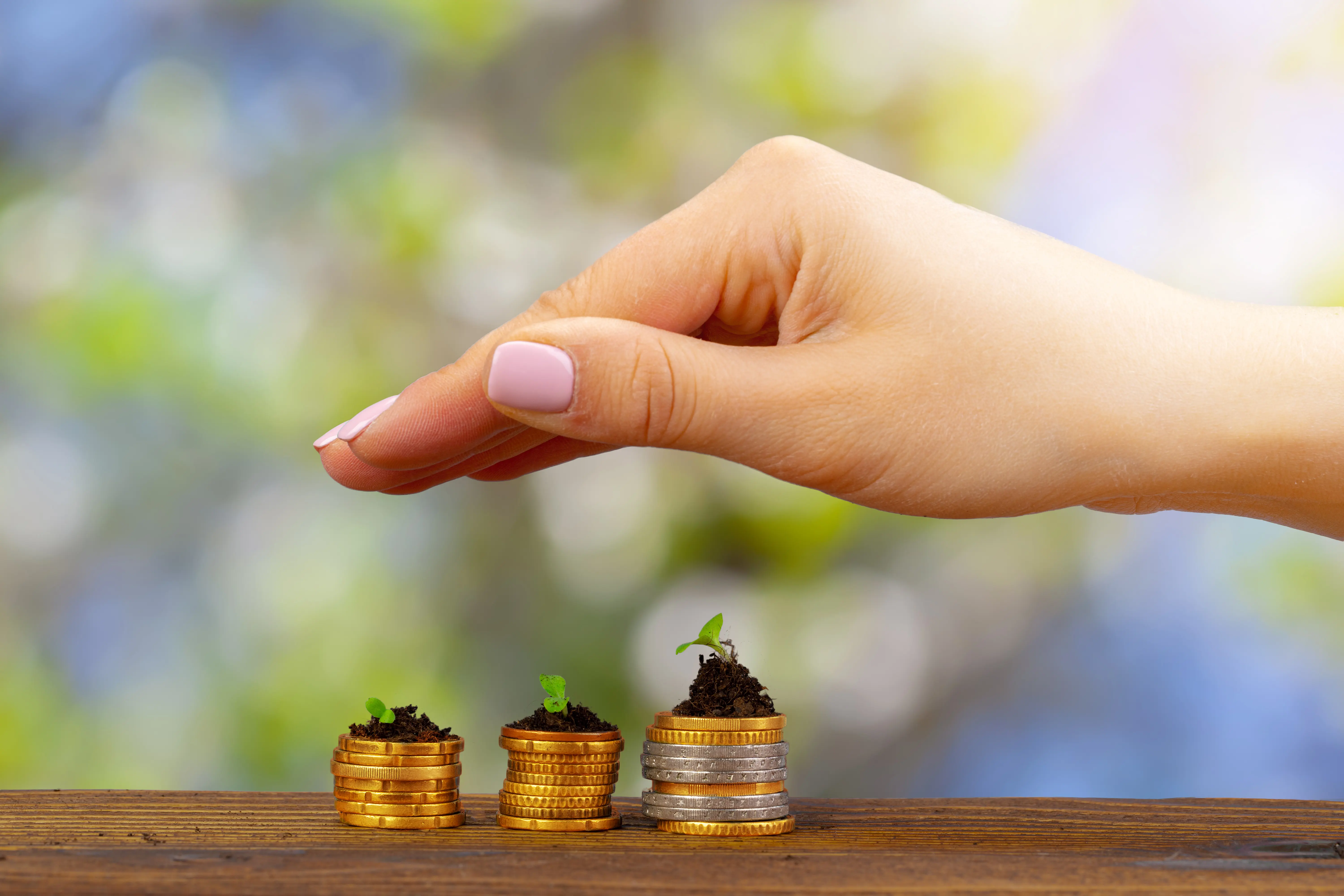 Seedlings grown on a coins stack in female palm close up