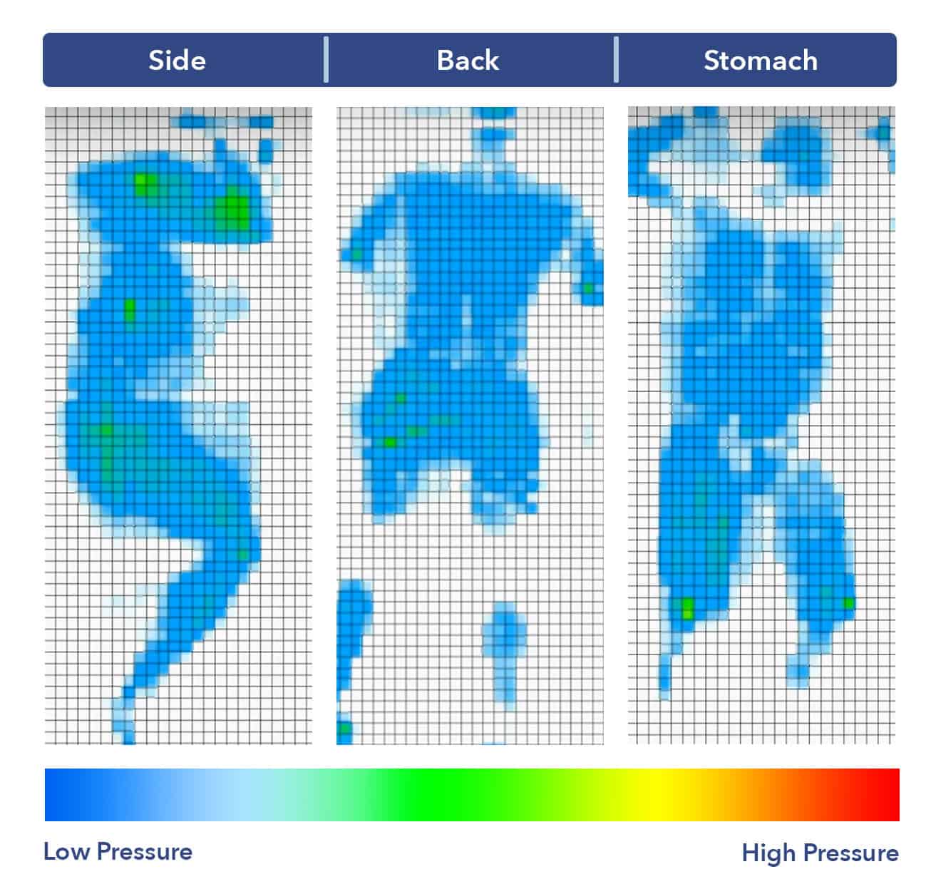 Pressure map showing all blue pressure points