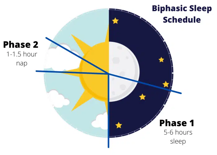 Biphasic Sleep Schedule of 2 Phases