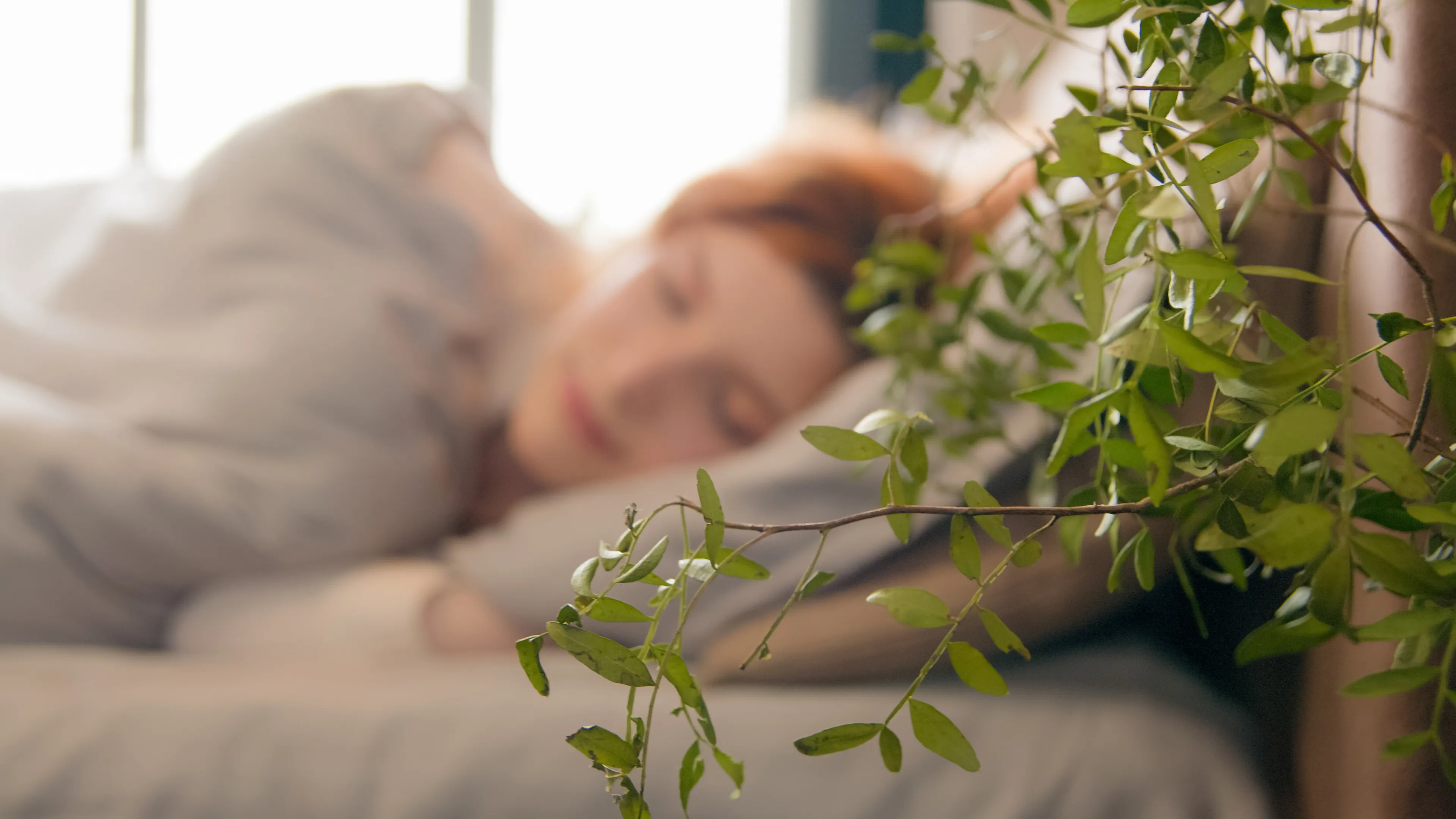 Close up Caucasian girl sleeping napping sleepy beautiful woman waking up lying in comfortable white