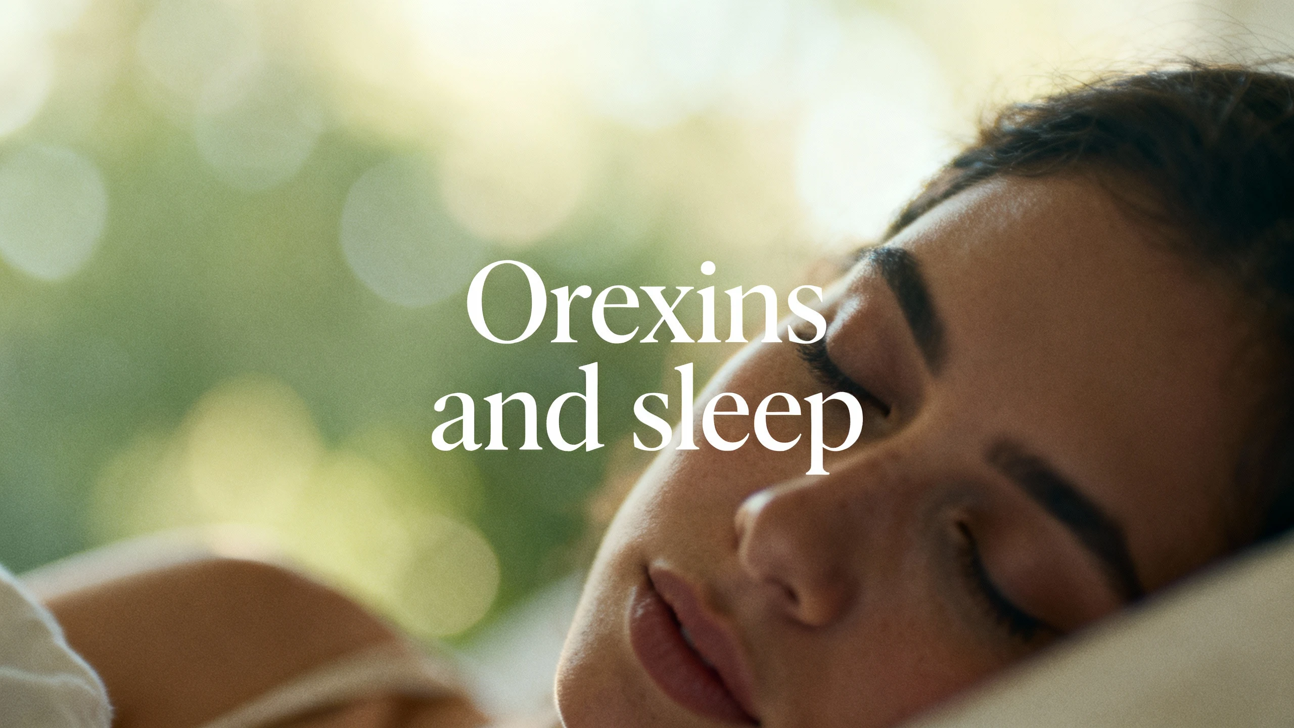Orexins and sleep