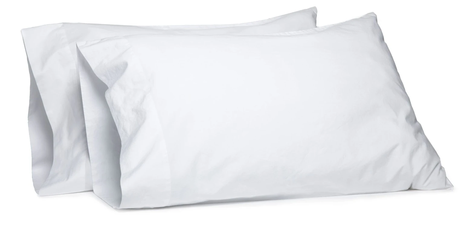 Two White Pillows