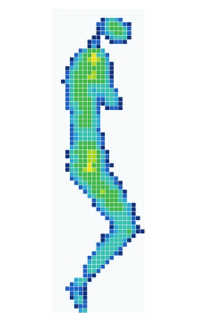 Cell-grid pressure distribution recorded while side sleeping on the Amerisleep AS5