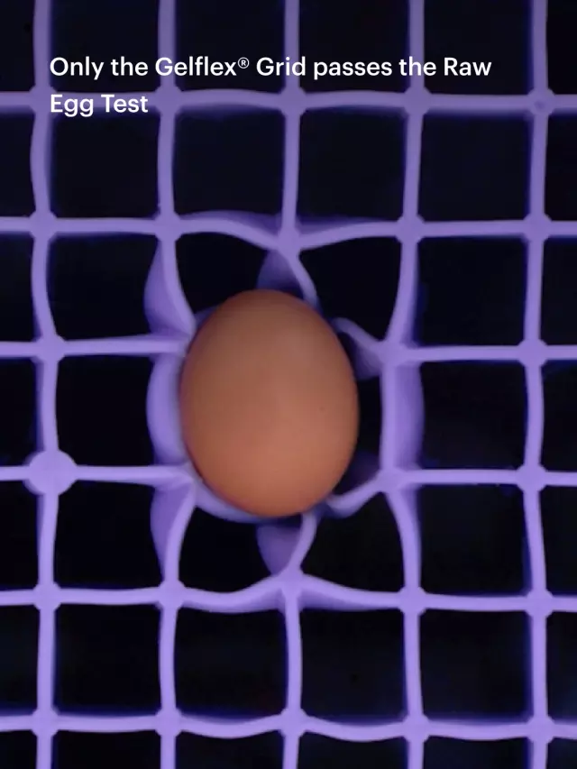 egg in the GelFlex grid