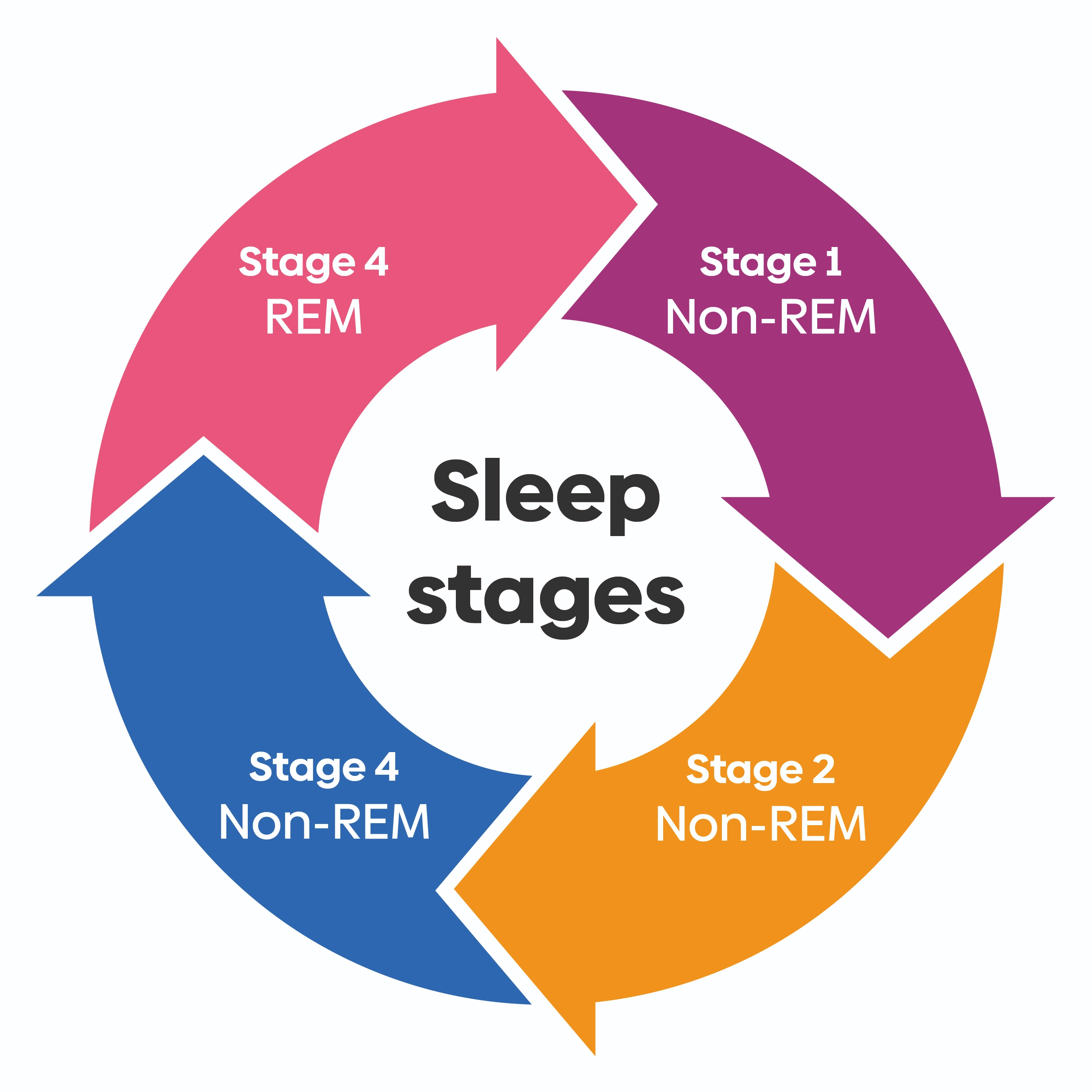 Sleep Cycle