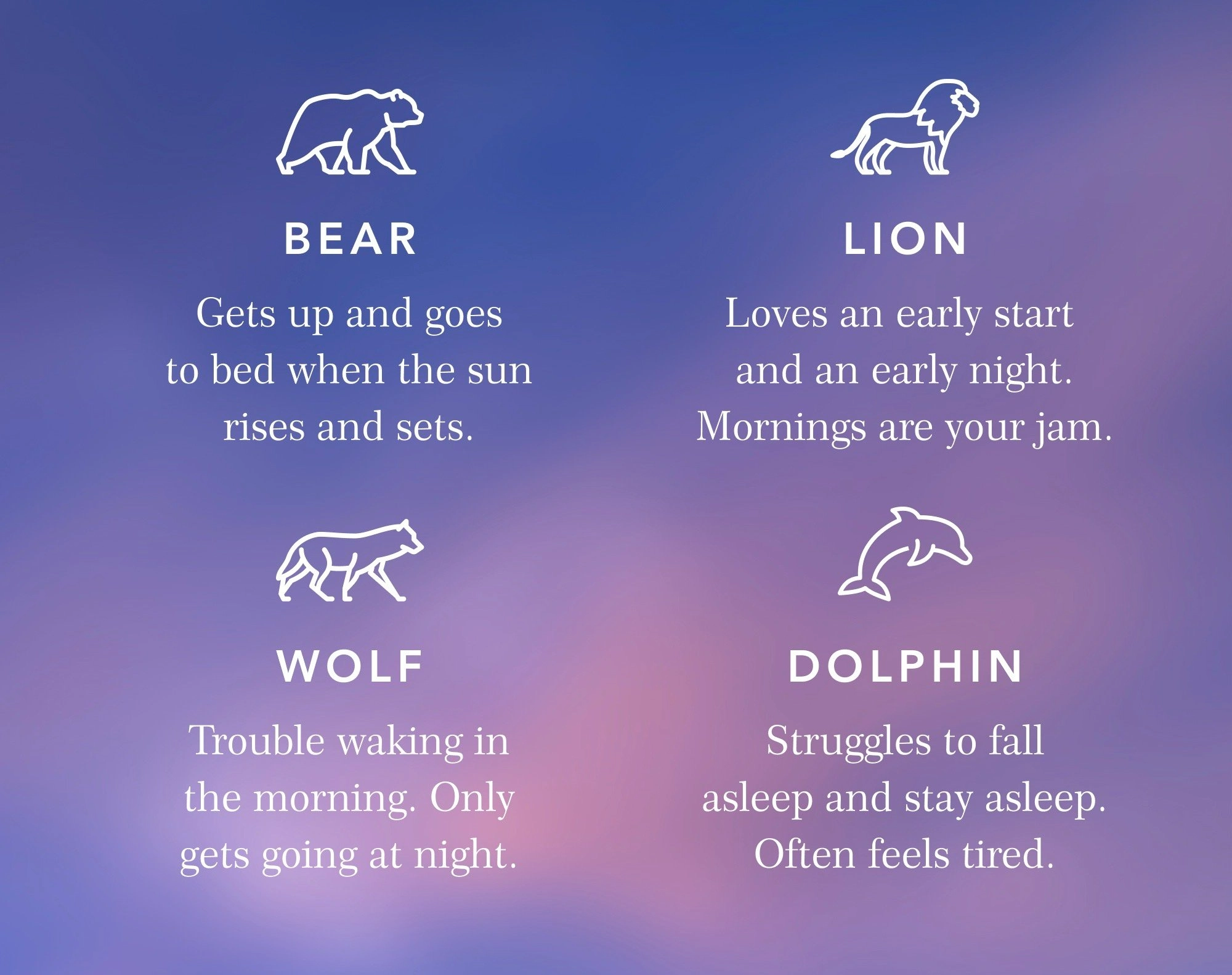 Types of Chronotypes Picture (Summary)